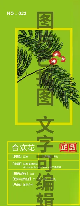 合欢花