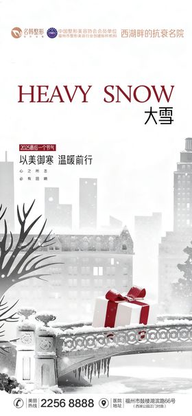 医美节气大雪海报