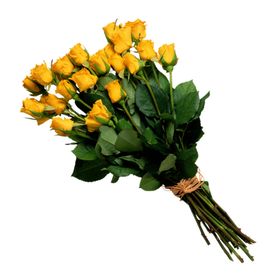 鲜花