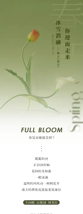 SPA美业春季疗愈长图