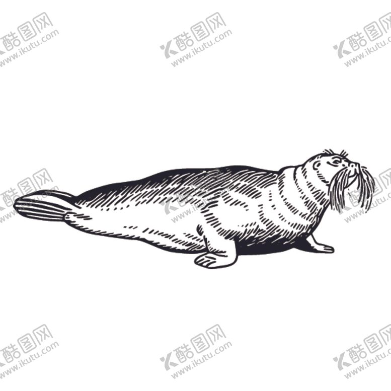 编号：21067910091402569356【酷图网】源文件下载-海洋生物鱼类图案