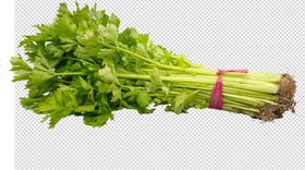 芹菜
