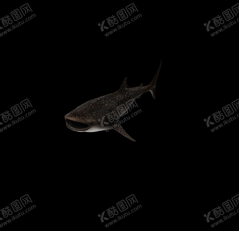 编号：52748210260629383422【酷图网】源文件下载-海洋生物