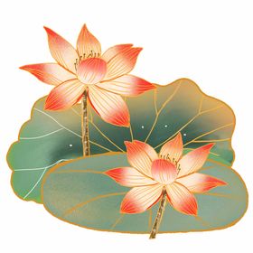 手绘荷花夏天叶插画