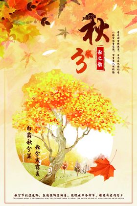 秋季上新