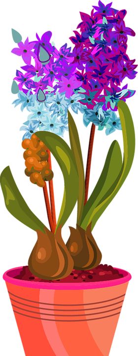 鲜花素材边纹纺织印百合小清新朵