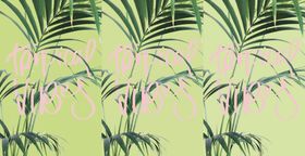 热带花