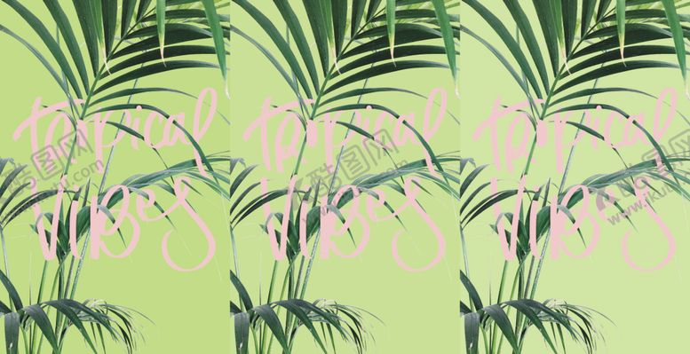 编号：51495009211734511165【酷图网】源文件下载-热带花