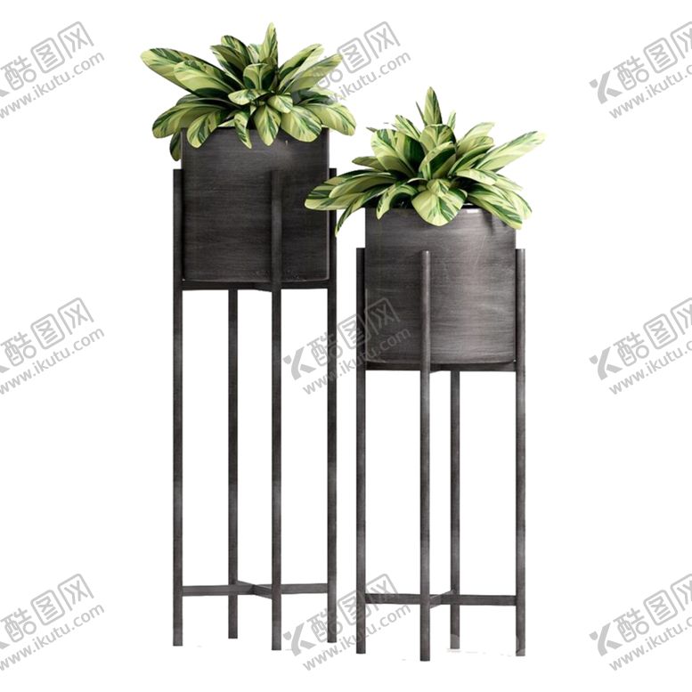 编号：18375110181003527640【酷图网】源文件下载-植物