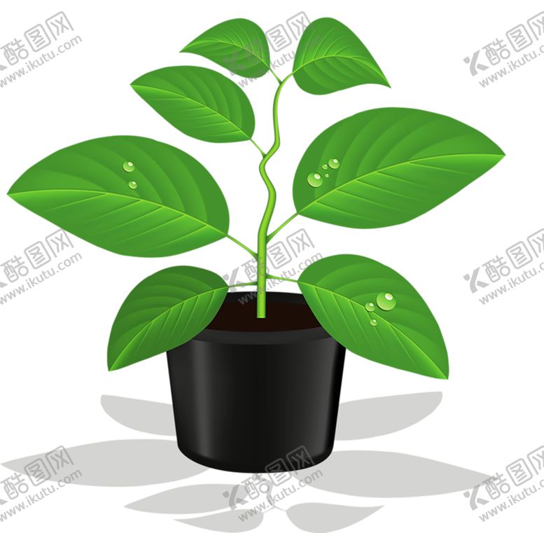 编号：75571610190328326006【酷图网】源文件下载-植物