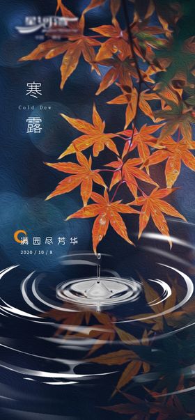 秋季秋景寒露水滴枫叶