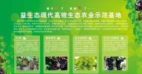 果园宣传海报KT板展板生态基地
