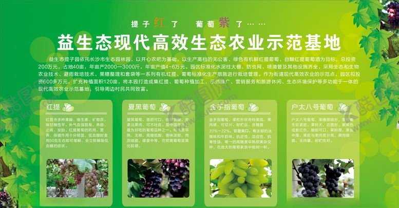 编号：40082905050628458899【酷图网】源文件下载-果园宣传海报KT板展板生态基地