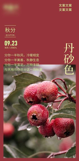 秋分海报地产节气设计