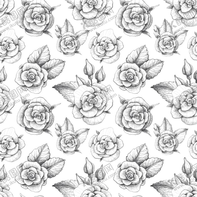 编号：42336610070055398766【酷图网】源文件下载-玫瑰花素描背景
