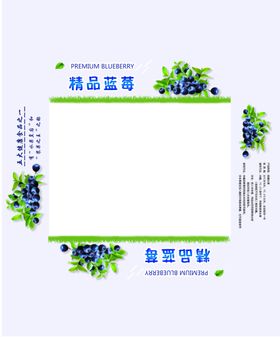 蓝莓托盒