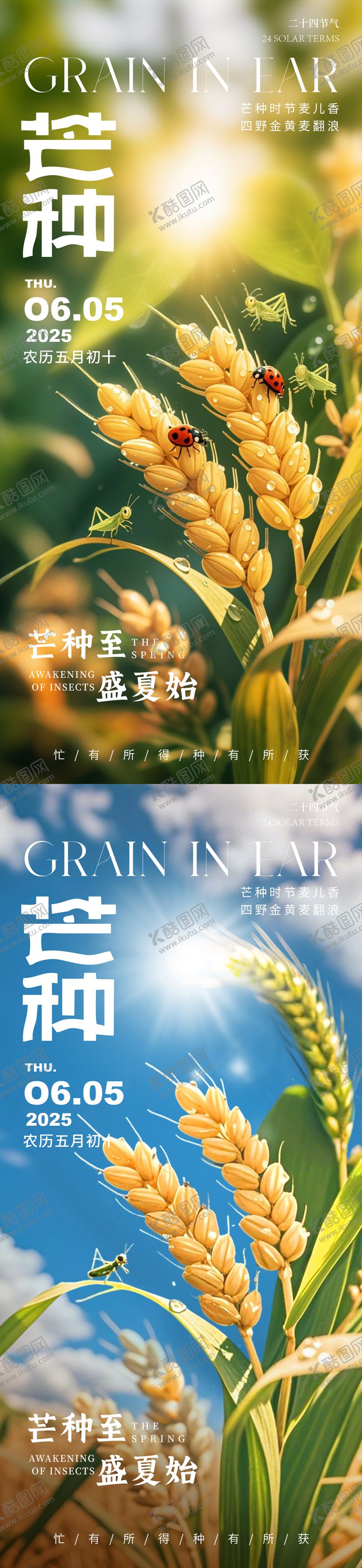 编号：63647706151719391198【酷图网】源文件下载-芒种节气海报