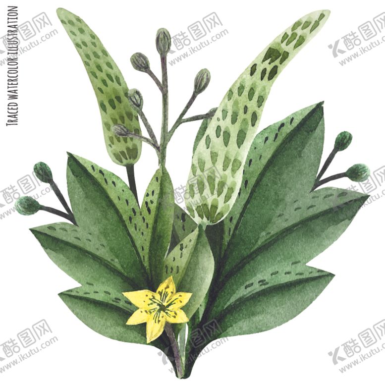编号：76801705031849421169【酷图网】源文件下载-绿植花卉