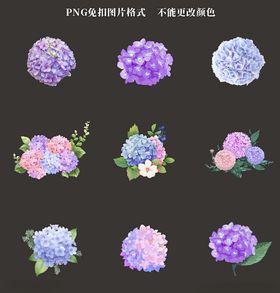 绣球花素材多种颜色的花