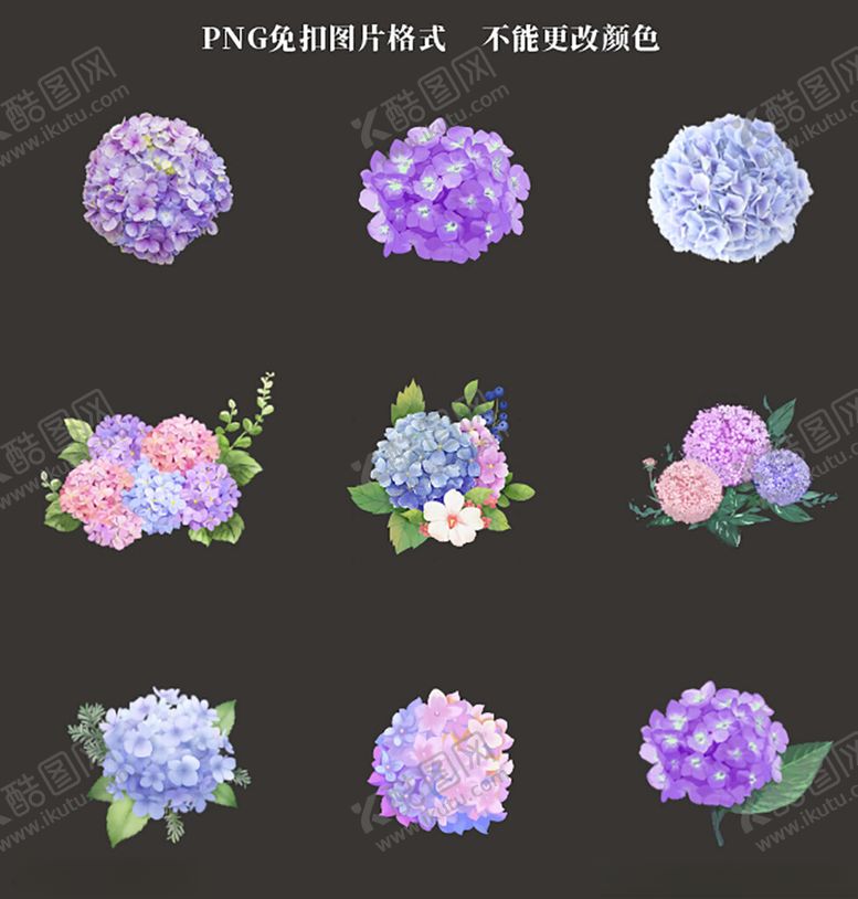 编号：28929104221551183901【酷图网】源文件下载-绣球花素材