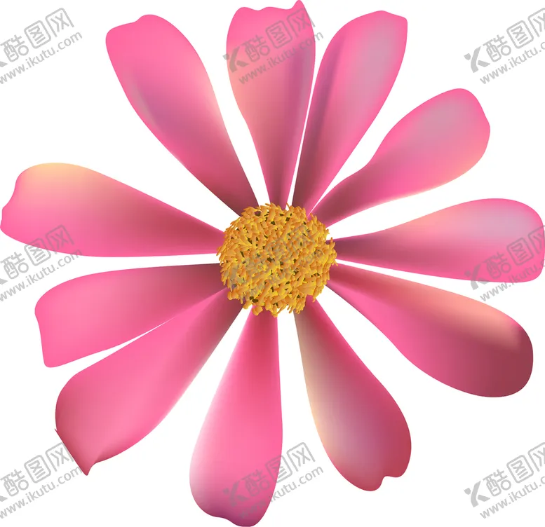 编号：41857609141250324827【酷图网】源文件下载-写实花卉手绘插画