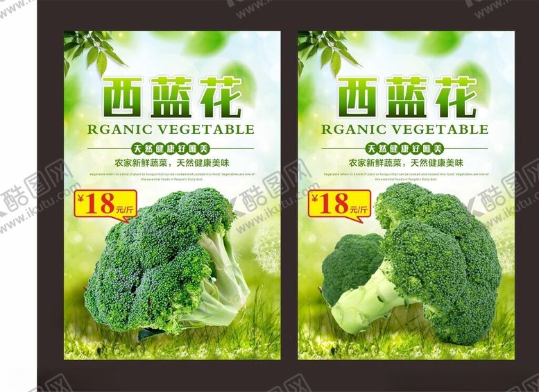 编号：97172502181721288609【酷图网】源文件下载-西蓝花