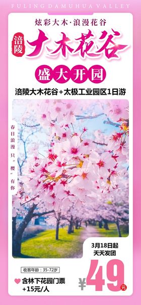 明信片樱花节赏花旅游展架