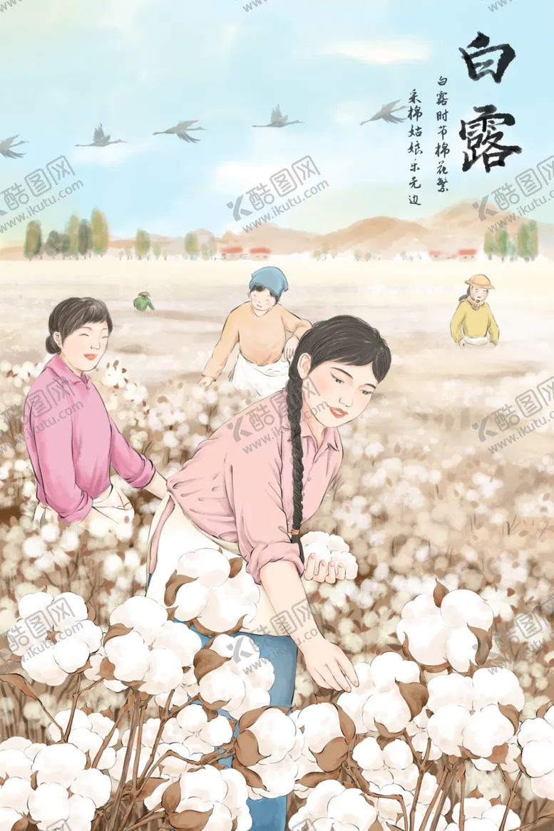 编号：18184402202139569617【酷图网】源文件下载-白露采棉花