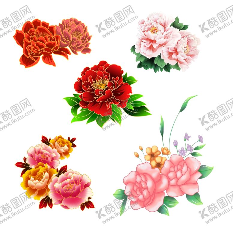 编号：42671410291949168932【酷图网】源文件下载-牡丹花