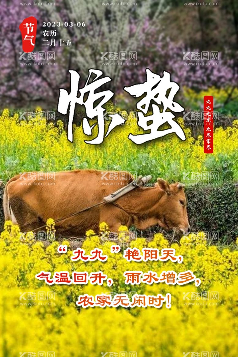 编号：36818012030136288929【酷图网】源文件下载-惊蛰油菜花老牛