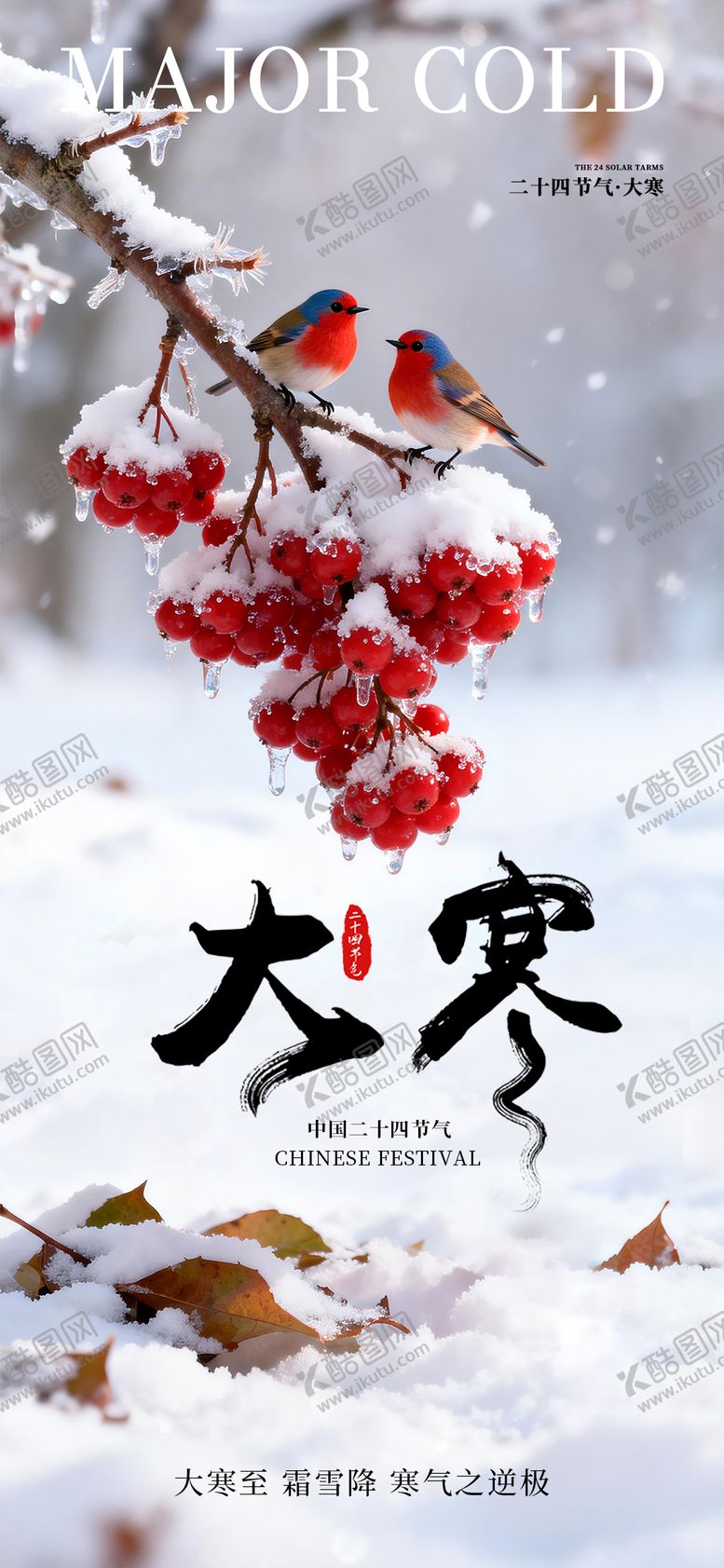编号：25253301160202346802【酷图网】源文件下载-大寒二十四节气海报