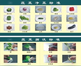 净菜标准摘洗标准