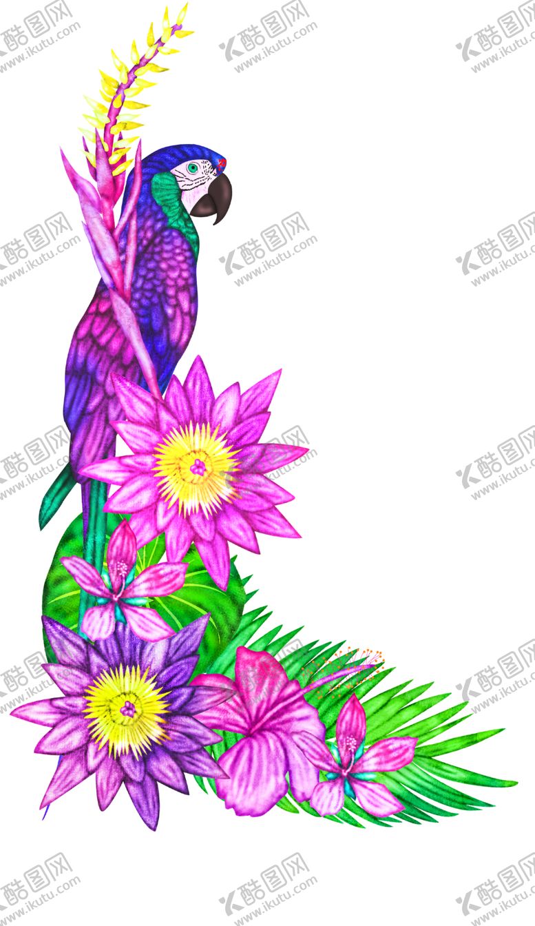 编号：67824501252227025061【酷图网】源文件下载-花卉背景 