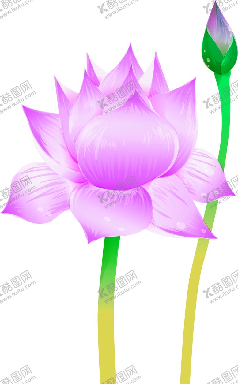 编号：12343009182107178631【酷图网】源文件下载-鲜花素材