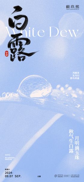 白露节气海报宣传简约水滴二十四