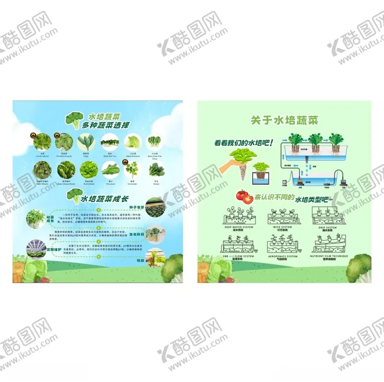 编号：14789601202054212679【酷图网】源文件下载-关于水培蔬菜
