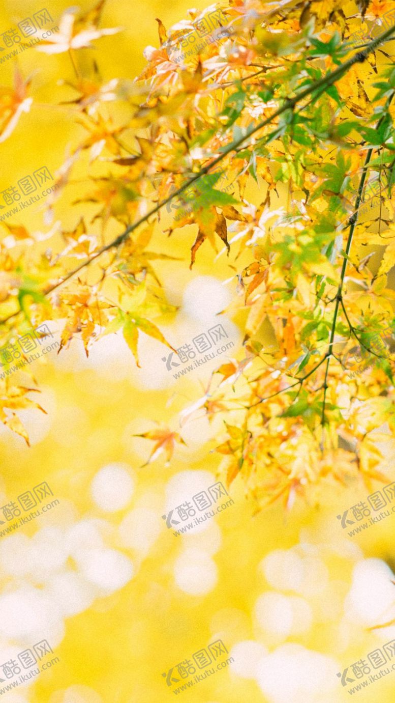 编号：86461812211359155074【酷图网】源文件下载-秋天