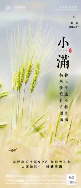 小满海报
