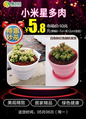特惠秒杀小米星