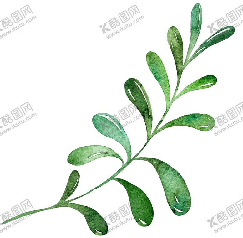 编号：20472307051859424766【酷图网】源文件下载-树叶