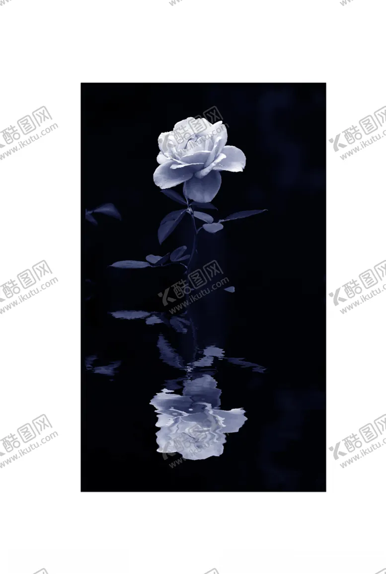 编号：74999803191844415548【酷图网】源文件下载-花朵