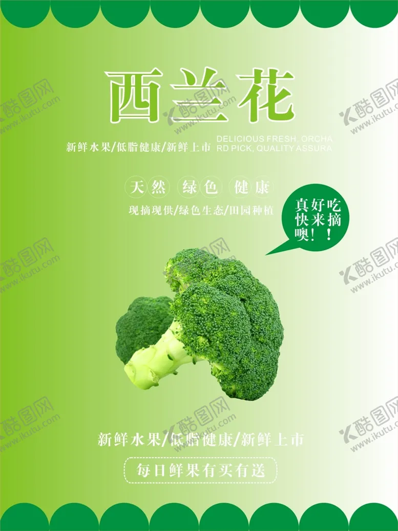 编号：22356610180812035361【酷图网】源文件下载-西兰花海报