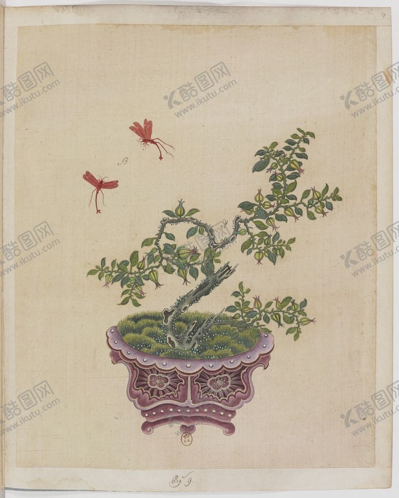 编号：95819403261634357147【酷图网】源文件下载-盆景花鸟