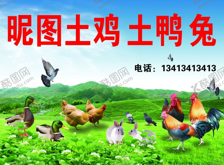 编号：33026810110832128600【酷图网】源文件下载-土鸡土鸭兔子