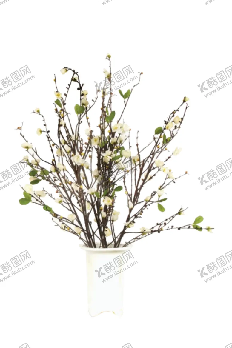编号：99774706182353359424【酷图网】源文件下载-免抠背景花草树木