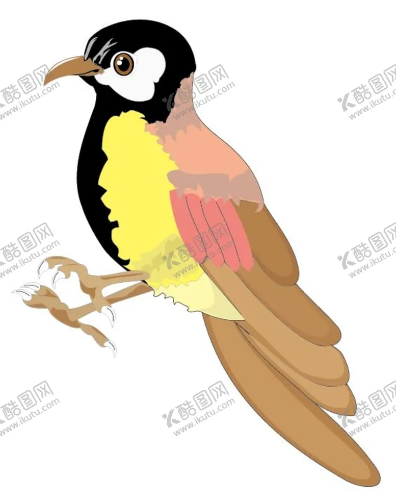 编号：42865109260247569273【酷图网】源文件下载-鸟类