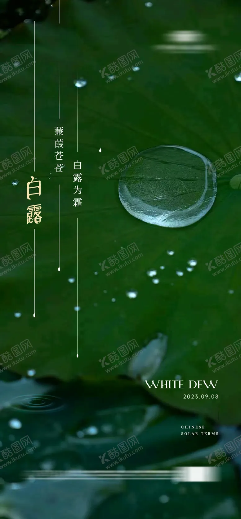 编号：47718811221011264546【酷图网】源文件下载-地产白露海报