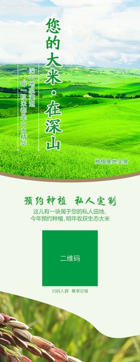 大米详情页
