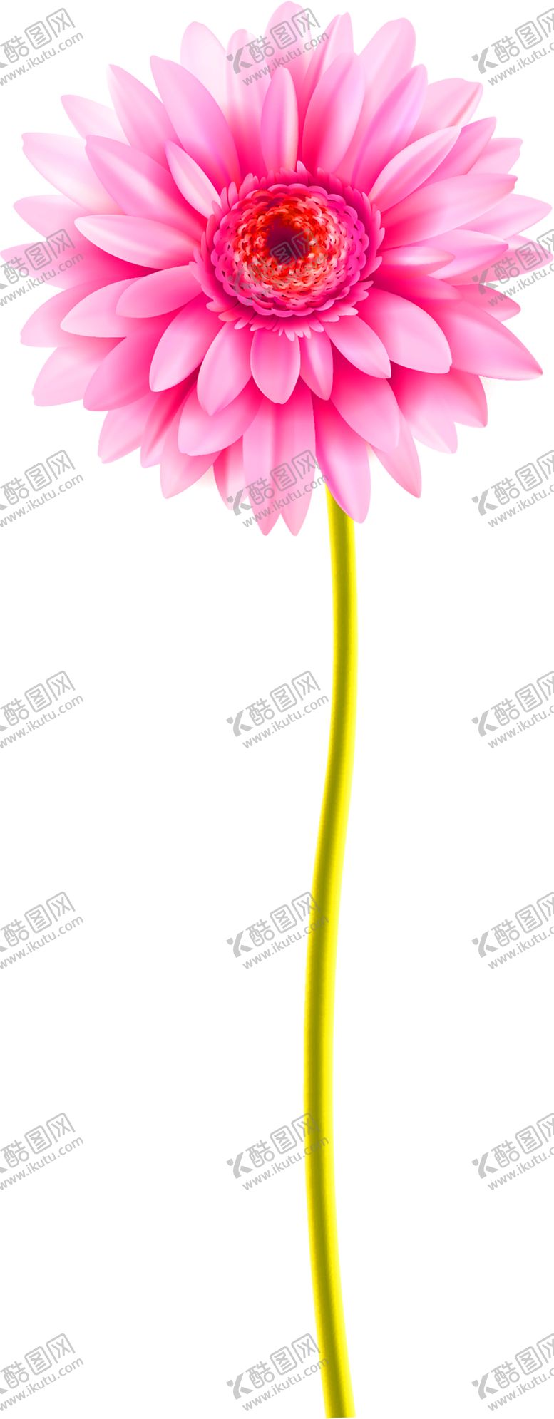 编号：66938910081946576694【酷图网】源文件下载-鲜花装饰