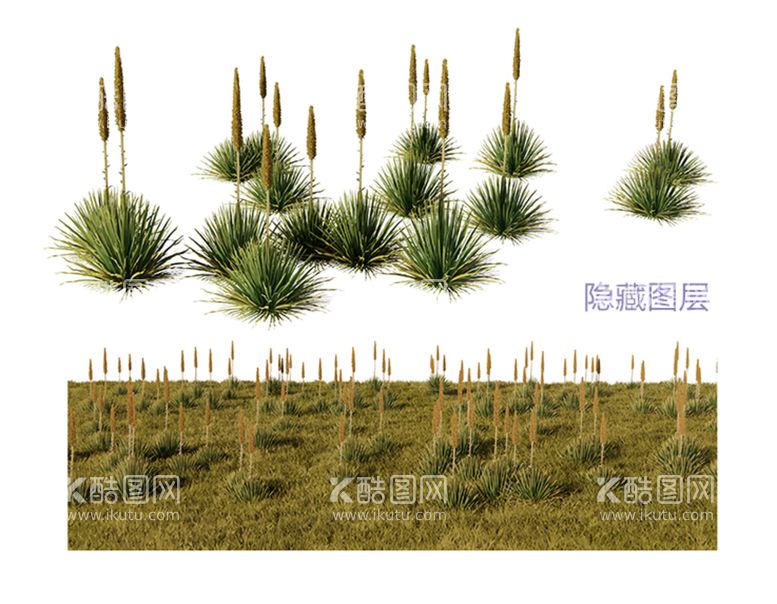 编号：86741510021419410327【酷图网】源文件下载-3D草地植物